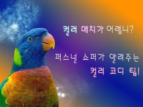 “당신께 어울리는 컬러와 스타일 골라줍니다” - 뉴스 썸네일 이미지