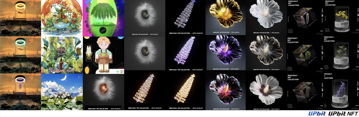 업비트, 시드볼트 NFT 통해 멸종위기식물 보전지 3호 조성 - 뉴스 썸네일 이미지