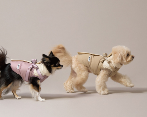 밀리옹, 겨울 산책용 제품 '패딩하네스' 완판 기록 - 뉴스 썸네일 이미지