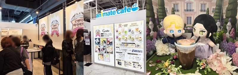 디씨씨이엔티, 애니메이트 협업 마무리...오프라인 IP 사업 고도화 - 뉴스 썸네일 이미지