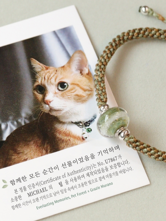 펫포레스트, 반려동물 털 보관 주얼리 국내 첫 선...홍콩 '그라지에 무... - 뉴스 썸네일 이미지