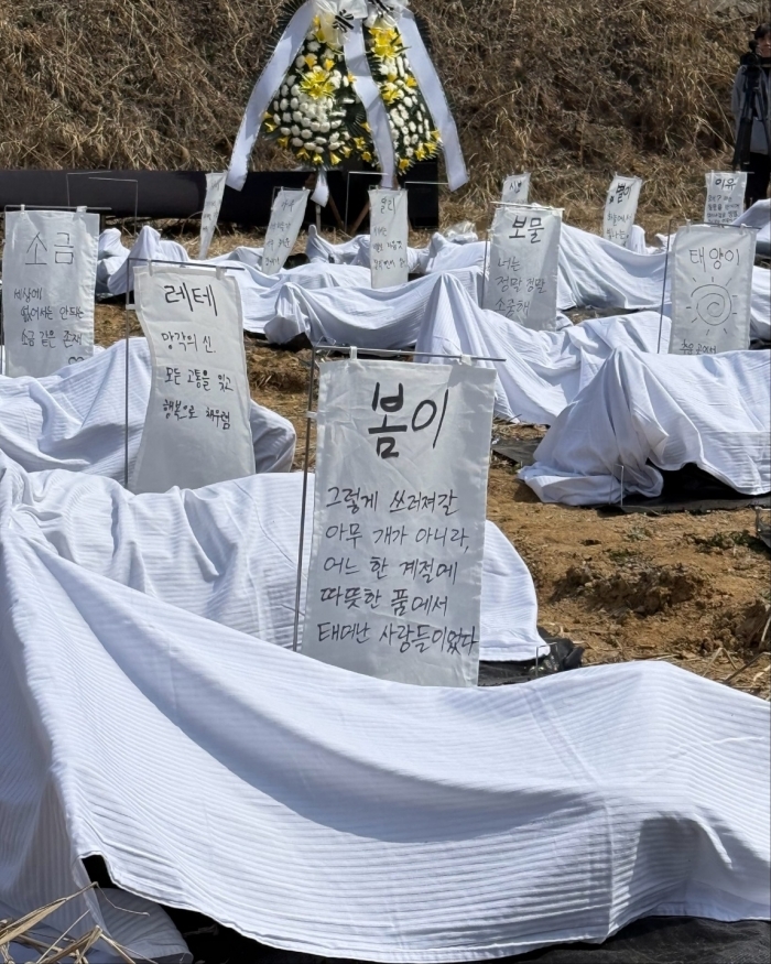 펫포레스트, 동물권행동 카라와 반려동물 장례·애도 문화 정착 위한 MO... - 뉴스 썸네일 이미지