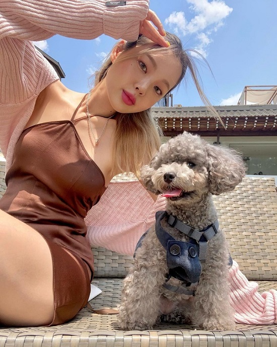 로우컴퍼니 이미지