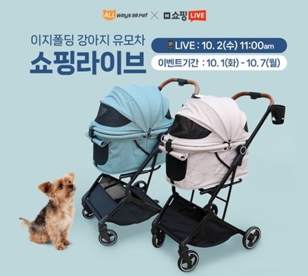 올웨이즈 이미지