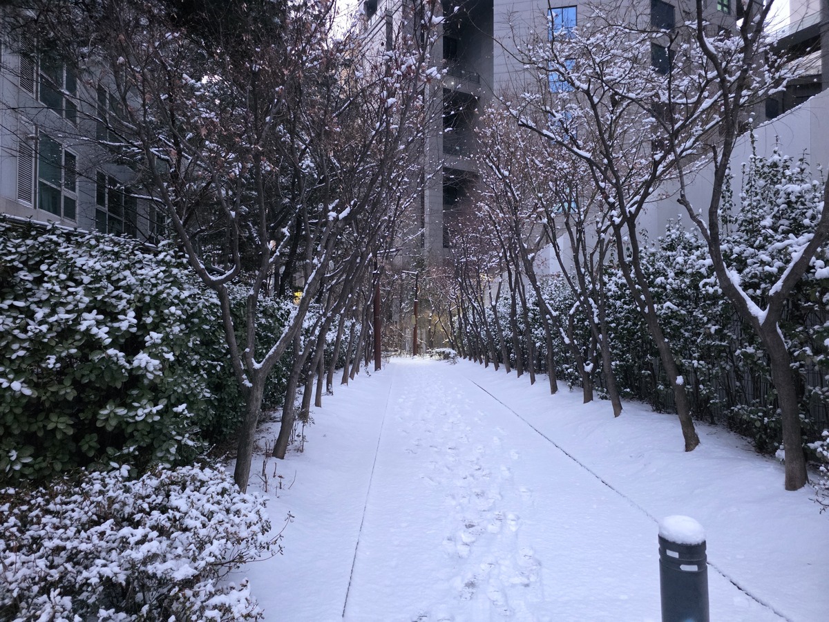 밤새 대설에 ‘빙판대란’ 우려에 출근길 시민들, 대중교통으로