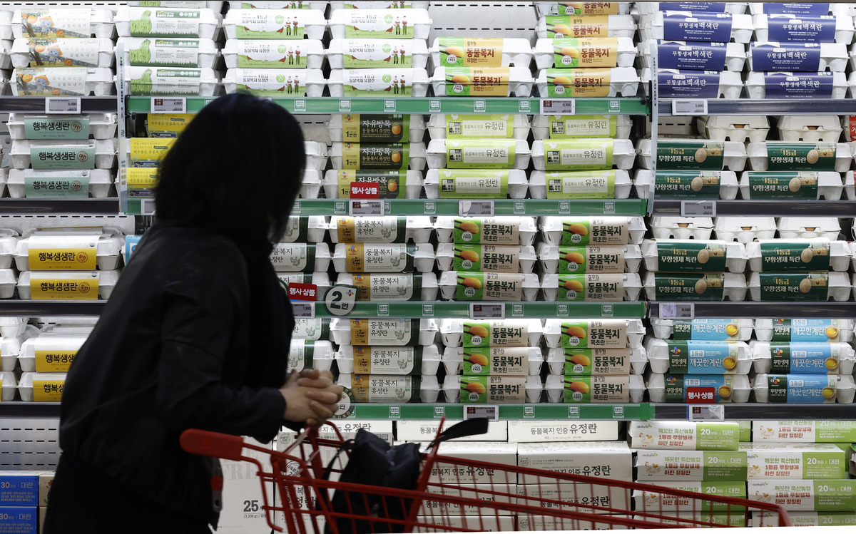 서울 시내 한 대형마트에서 시민들이 장을 보고 있다. 뉴시스