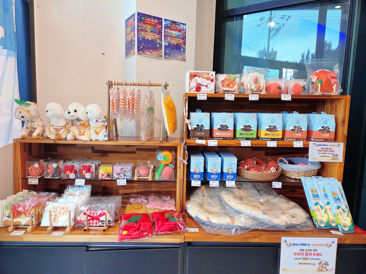 함덕의 한 제주 기념품숍 펫 코너에 진열된 반려동물 용품. 박재림 기자