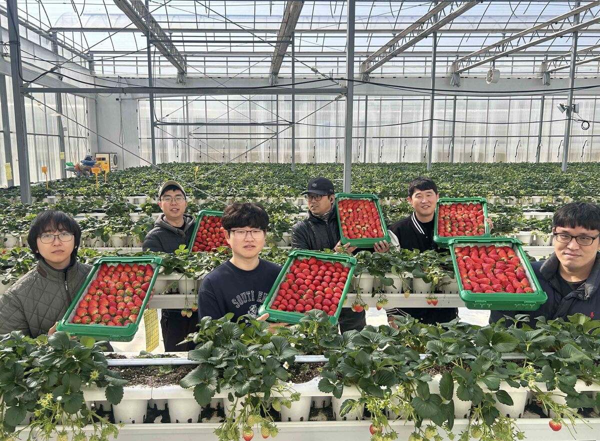 경북 의성의 ‘진한딸기 공선회’ 청년 농부들이 상품과 함께 사진 촬영하고 있다. 쿠팡 제공