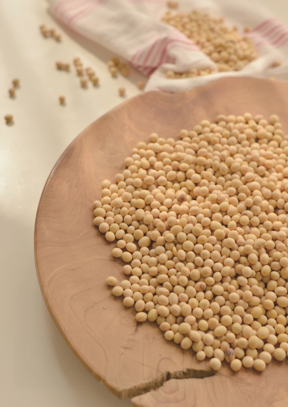 사진=맷돌순두부