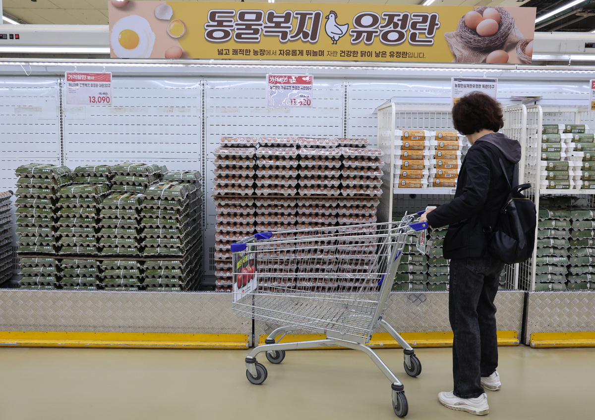 지난 2일 오후 서울 서초구 농협유통 하나로마트 양재점에 달걀이 진열돼 있다. 뉴시스