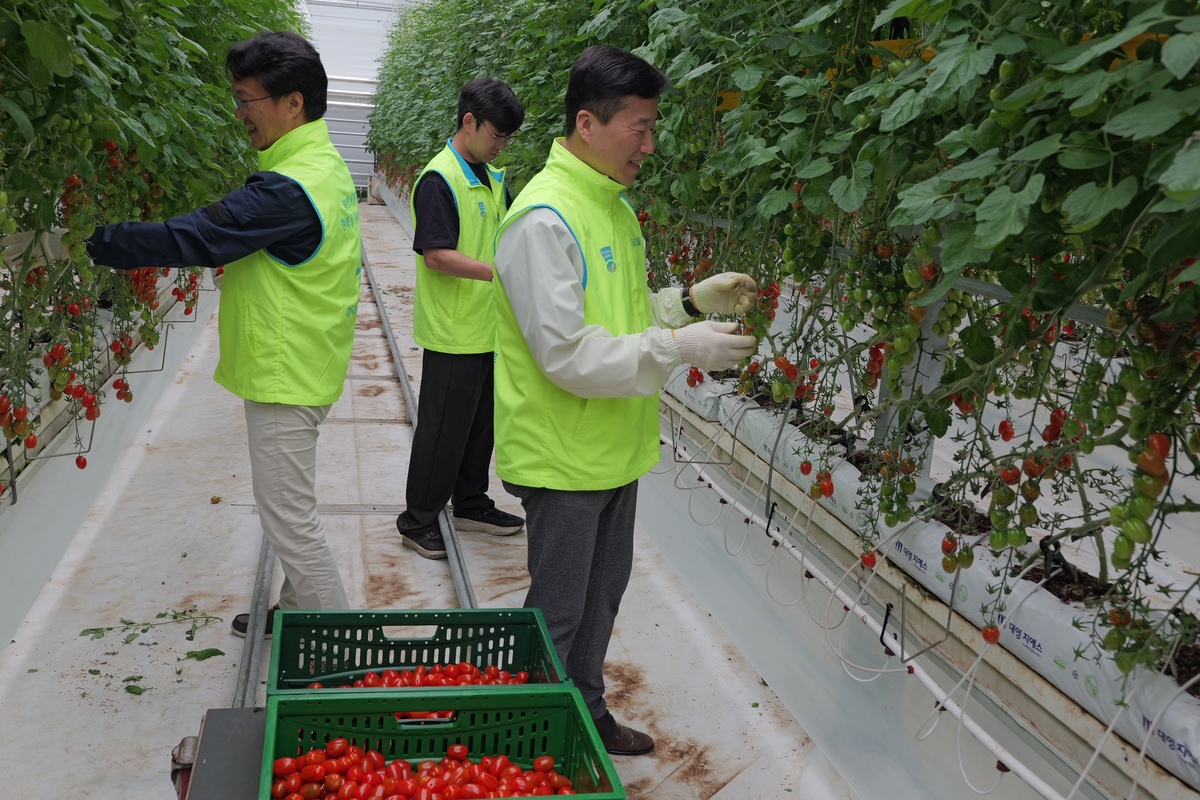 하나손해보험이 푸르메소셜팜에서&nbsp;나눔봉사 활동을 진행했다. 하나손해보험 제공