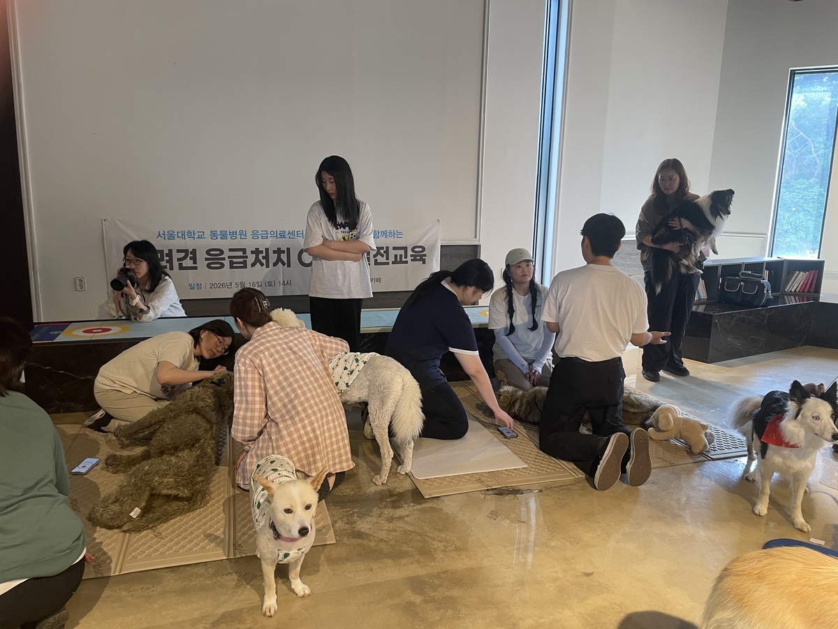 CPR실습을 하고 있는 모습.&nbsp;사진=펫리퍼블릭