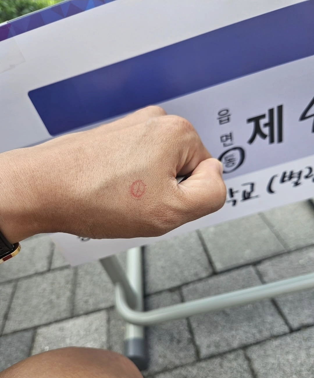 방송인 장성규가 3일 SNS에 도장이 찍힌 투표 인증샷을 공개했다. 인스타그램 캡처