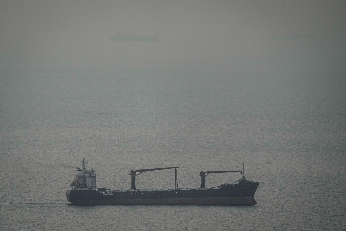 뉴시스