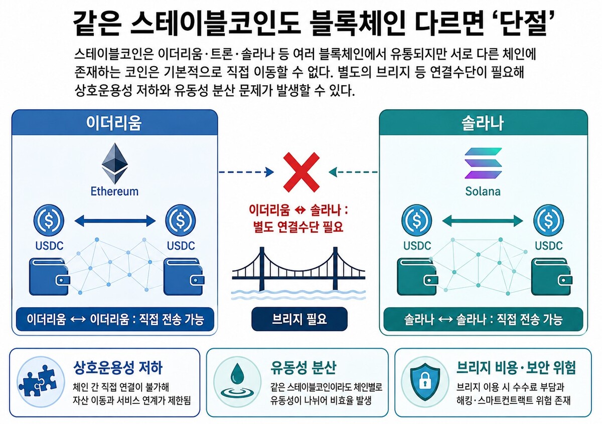 자료=한국은행·국제결제은행(BIS), 이미지=생성형 AI