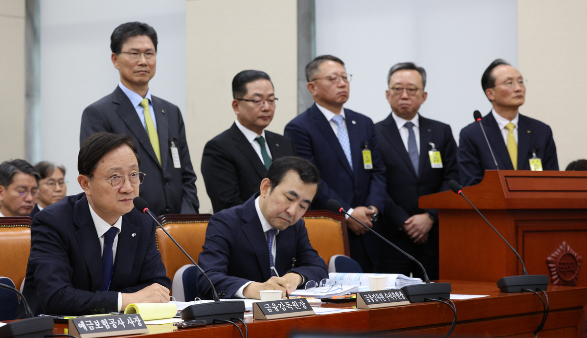 이찬진 금융감독원장이 19일 서울 여의도 국회에서 열린 정무위원회 국정감사에서 의원 질의에 답변하고 있다. 뒷쪽 왼쪽부터 강태영 NH농협은행장, 정상혁 신한은행장, 이호성 하나은행장, 정진완 우리은행장, 이환주 KB국민은행장이 증인으로 참석해있다. 뉴시스
