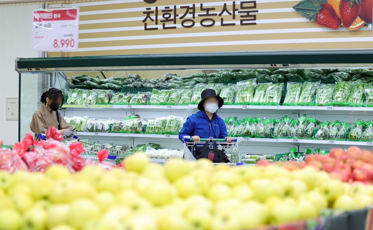 서울 시내 한 대형마트에서 시민들이 장을 보고 있다. 뉴시스