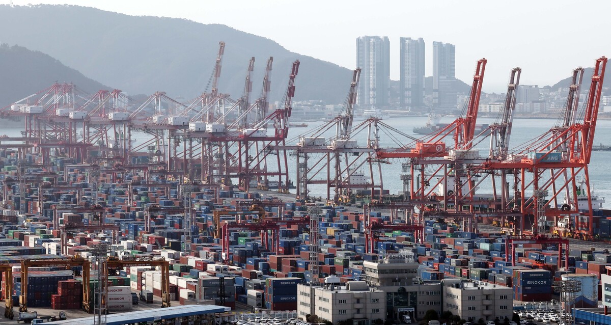 최근 부산 남구 신선대&nbsp;및 감만&nbsp;부두 야적장에 수출입 컨테이너가 쌓여 있다. 뉴시스