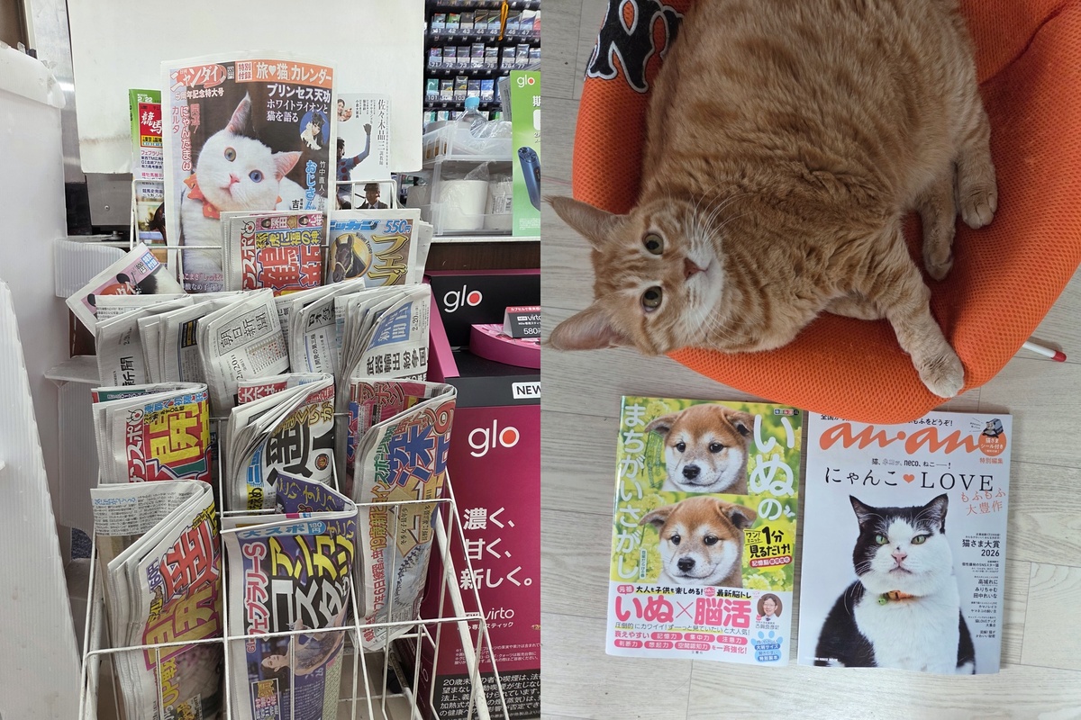 일본 편의점에 진열된 고양이 신문(왼쪽)과 그곳에서 구매한 반려견 및 반려묘 매거진. 박재림 기자