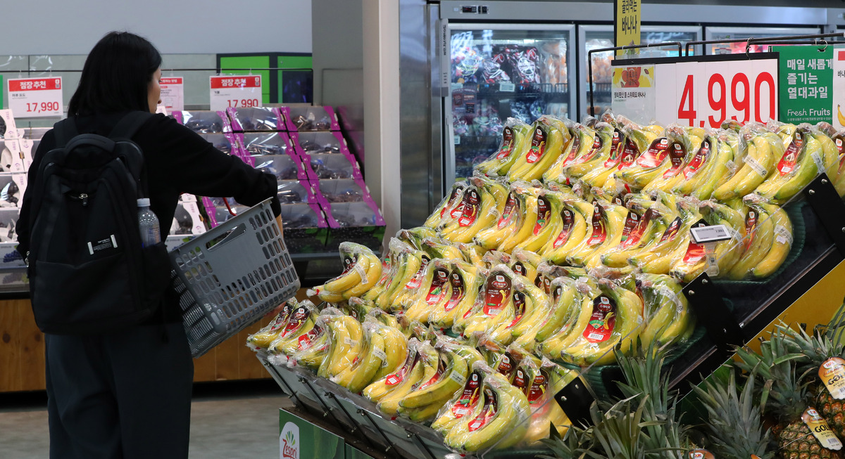 서울 시내 한 대형마트에서 한 고객이 장을 보고 있다. 뉴시스 제공