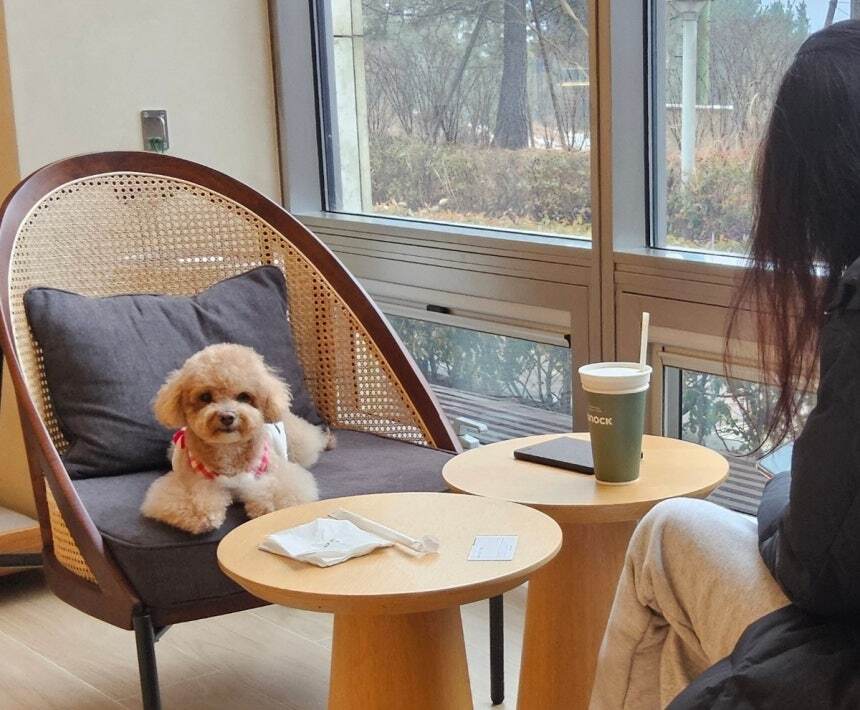 반려가족이 반려동물 동반 출입이 가능한 카페에서 함께 시간을 보내고 있다. 박재림 기자