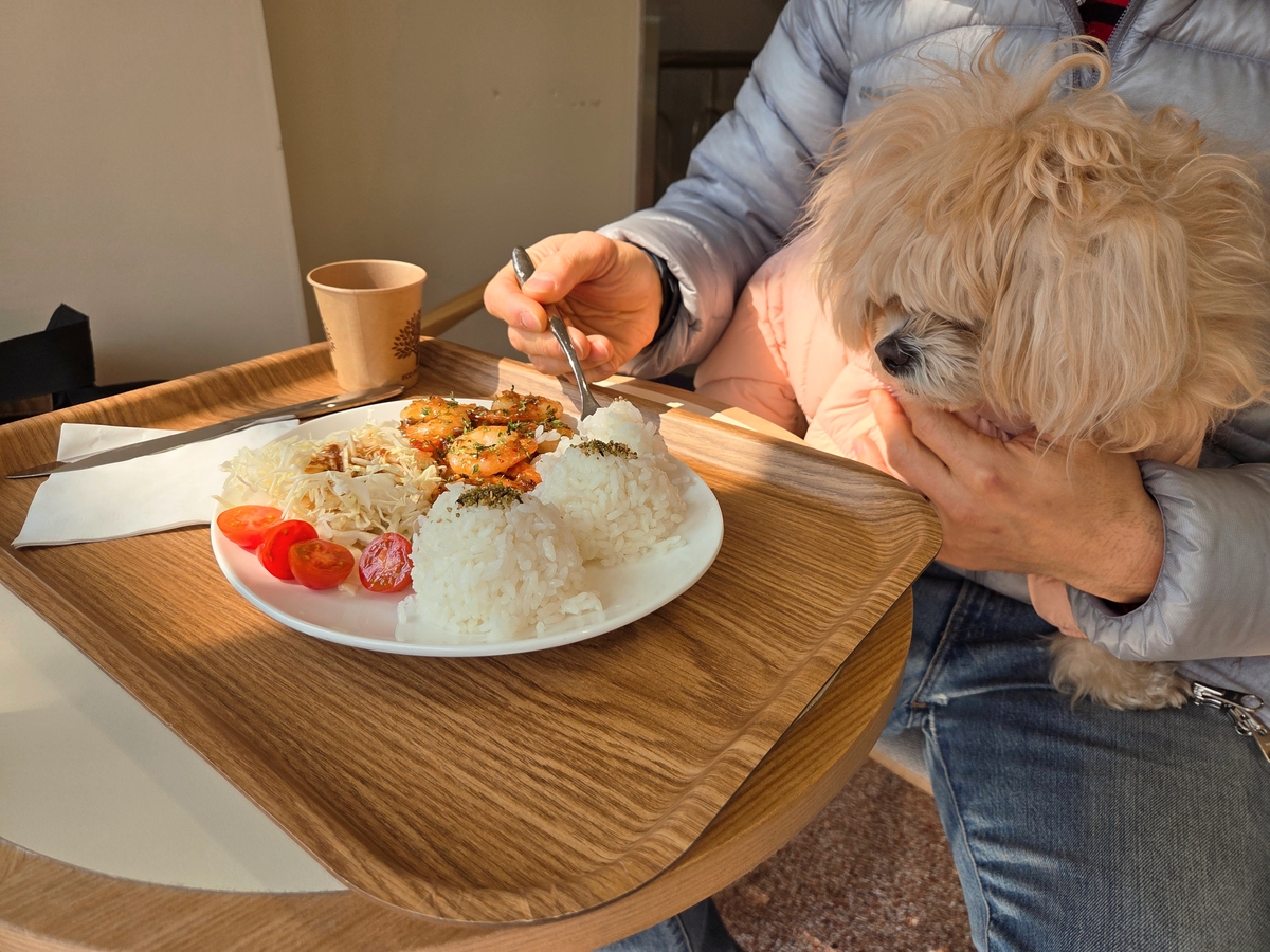 서울 양재천 인근의 한 카페에서 고객이 반려견 쿠키를 품에 안고 식사를 하고 있다. 박재림 기자
