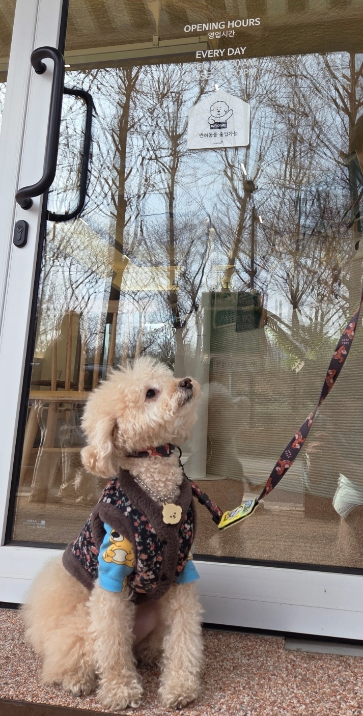 서울 양재천 인근의 한 카페 입구에 반려견이 입장을 기다리고 있다. 반려견의 머리 위쪽으로 반려동물 출입 가능 표지판이 붙어 있다. 박재림 기자
