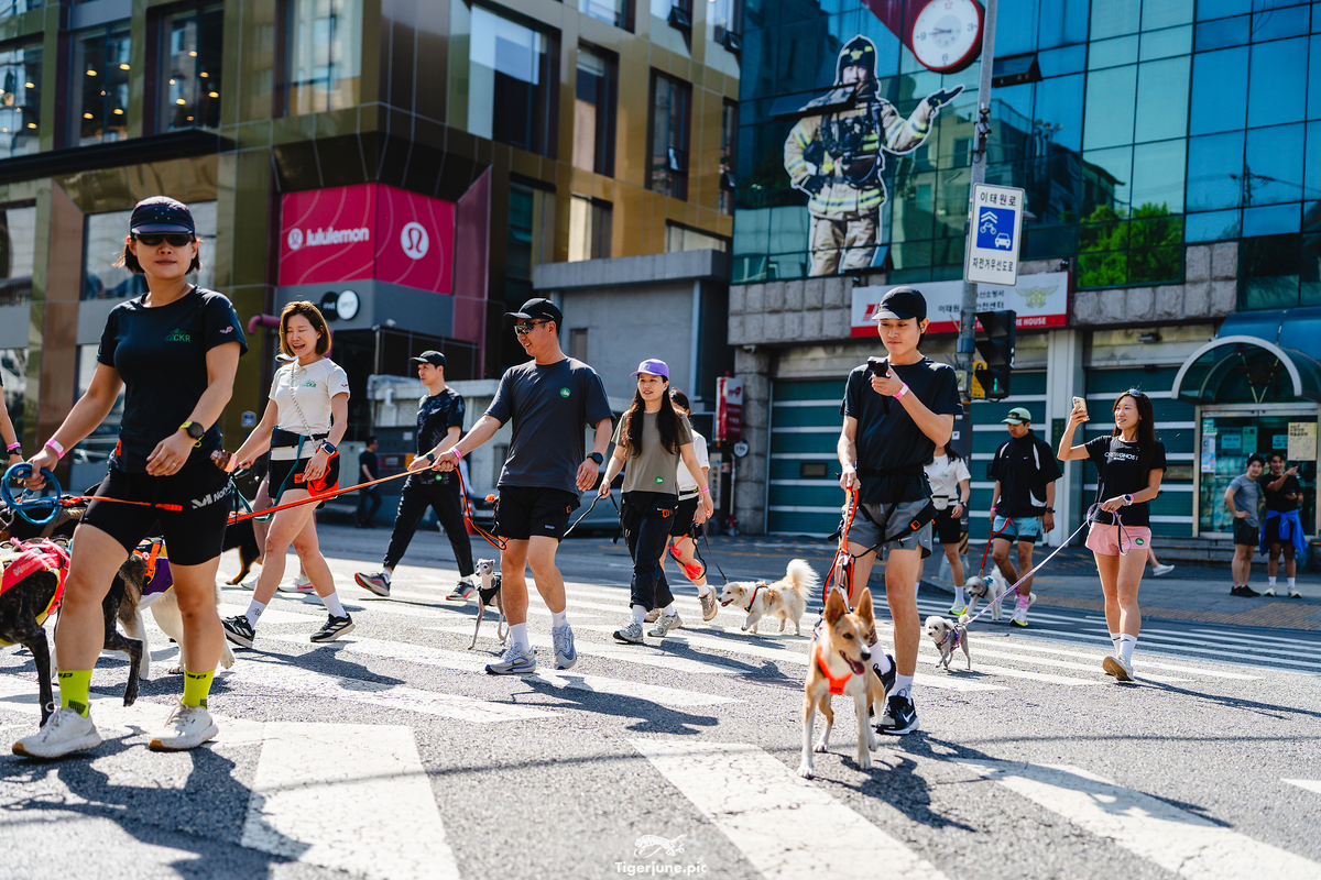 든든런 참가자들이 이태원 코스를 달리거나 뛰고 있다. 든든런 참가자 '호랭이 사진사' 제공