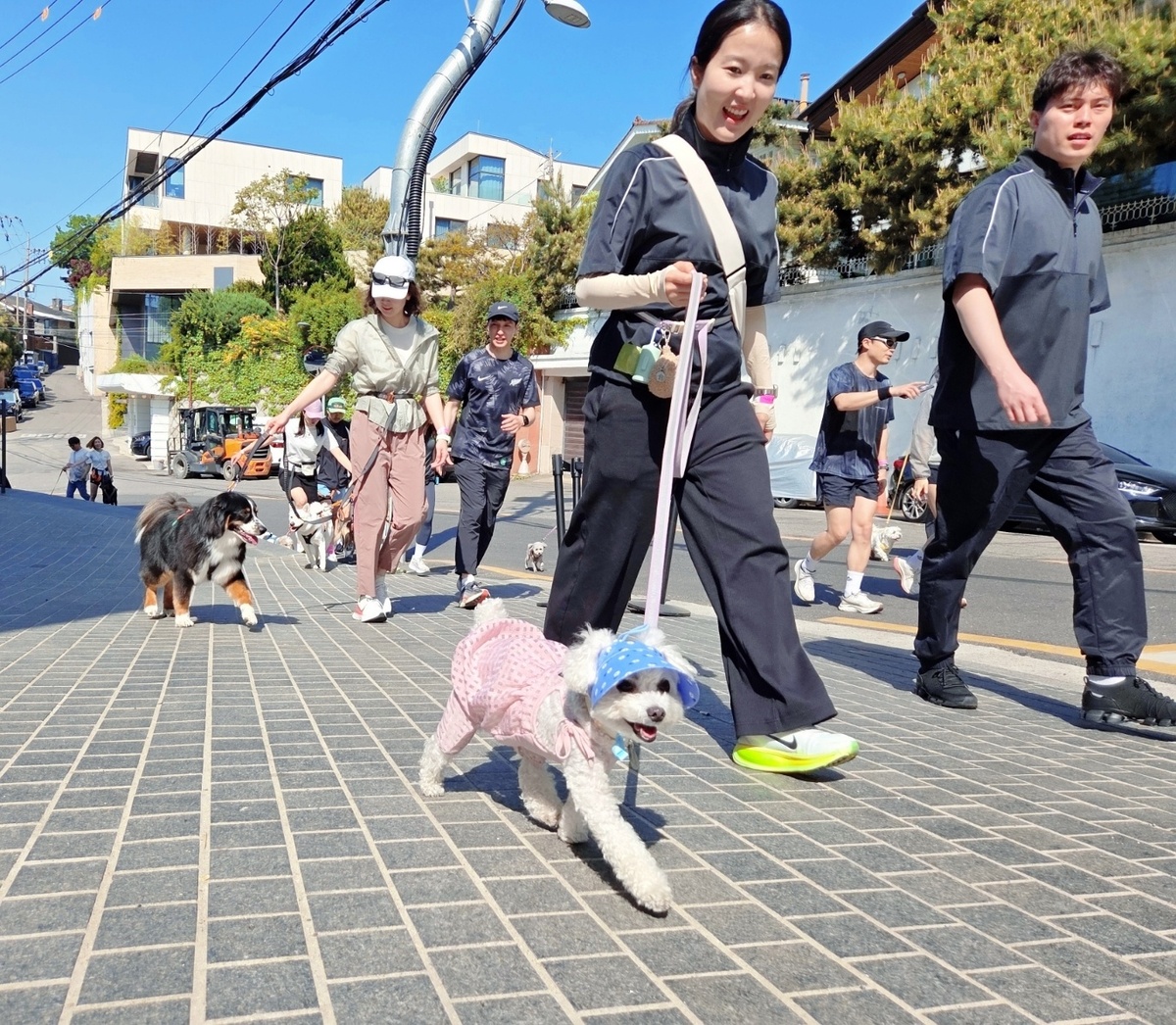 든든런에 참가한 반려견들이 보호자와 함께 뛰고 있다. 박재림 기자