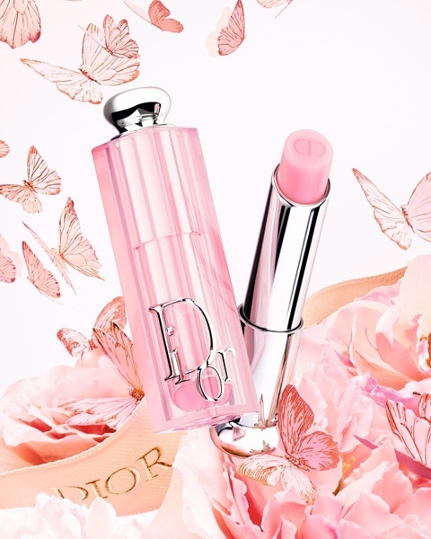 디올 뷰티 기프트 셀렉션. 디올 뷰티 제공