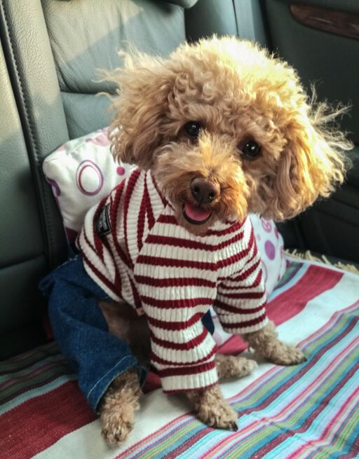 게티이미지뱅크