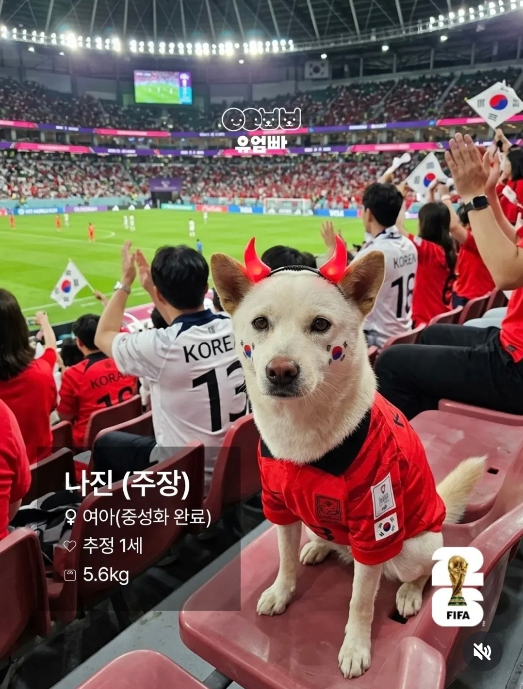 김해에서 발견된 유기견이 월드컵 경기장을 찾은 것처럼 꾸며진 AI 이미지.&nbsp;유엄빠 제공
