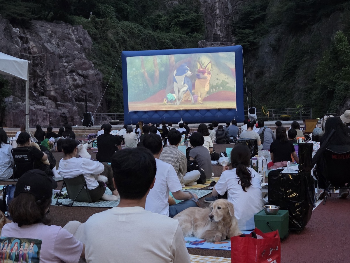 14일 서울용마폭포공원에서 열린 반려견 동반 영화 상영회를 찾은 반려가족들. 대형 스크린으로 ‘길 위의 뭉치’가 상영되고 있다. 박재림 기자