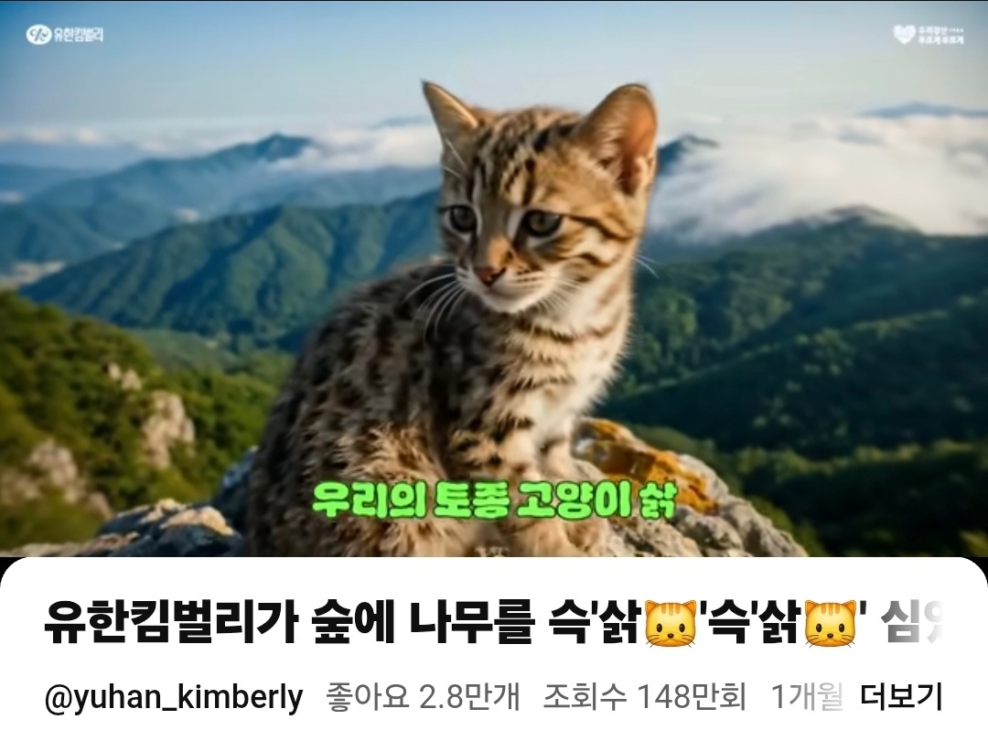 유한킴벌리 유튜브 채널에 올라온&nbsp;‘42년차 냥집사의 노래’ 영상 갈무리.