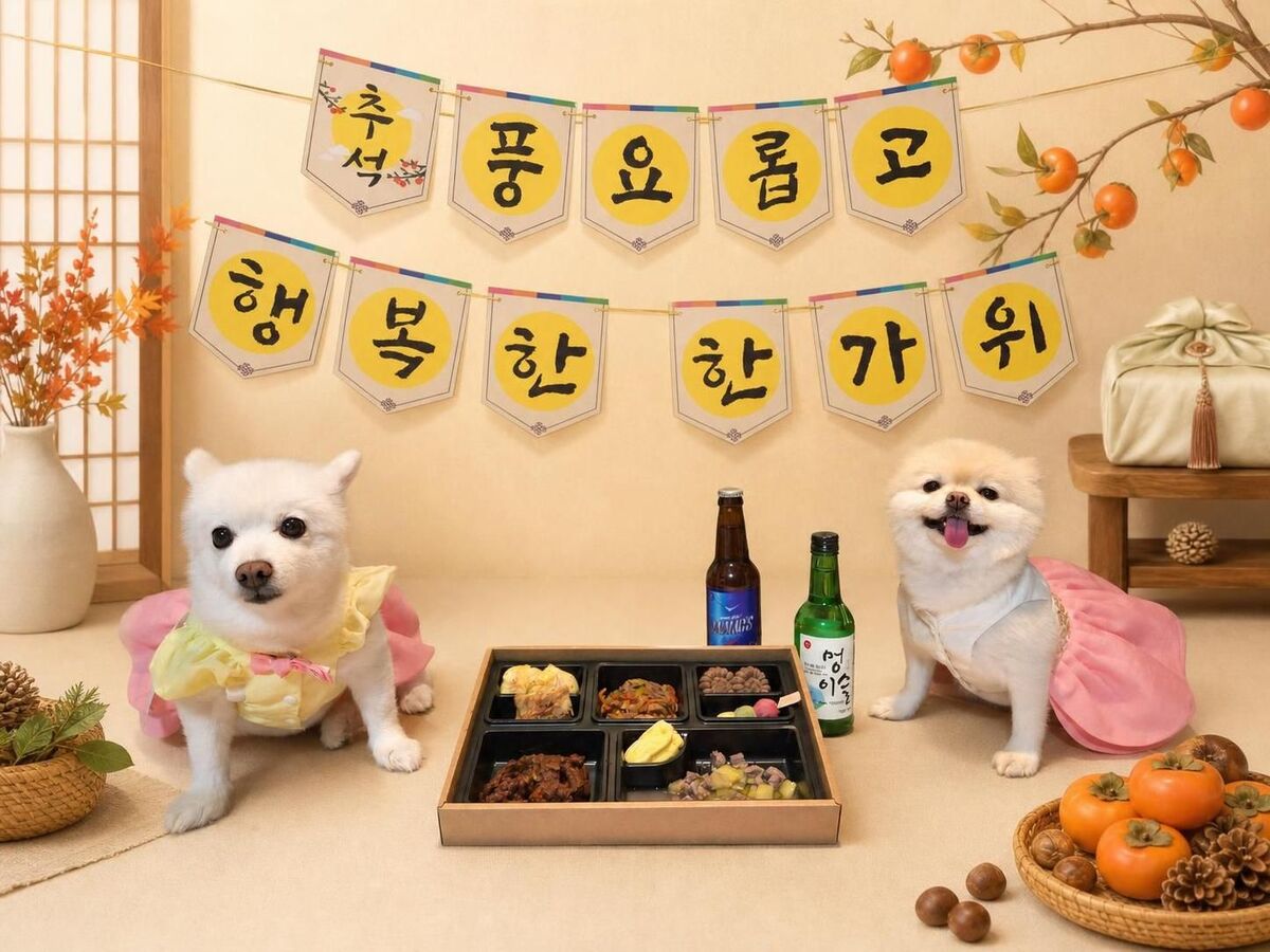 멍포차의 추석 먹거리 사진. 모델로 나선 강아지들은 박선애 대표의 반려견 호두&amp;파이다. 박 대표는 “호두가 음식 알레르기가 심해서 직접 만들어 먹이던 것이 2020년 브랜드 출범으로 이어졌다”고 말했다. 박재림 기자