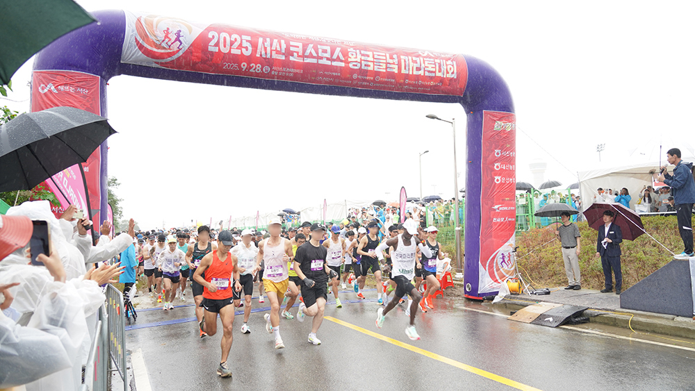 2025 서산 코스모스 황금들녁 마라톤 모습/ 사진= 서산시 제공