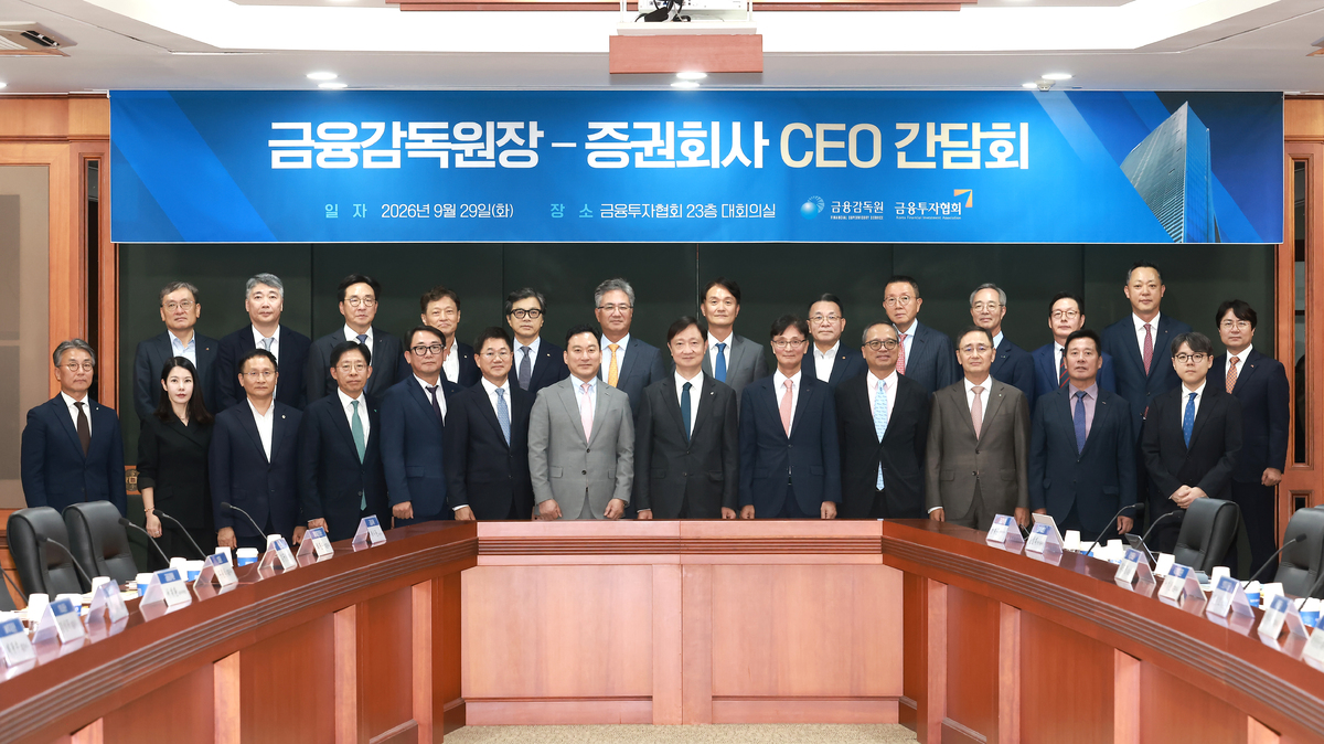 금융감독원 제공