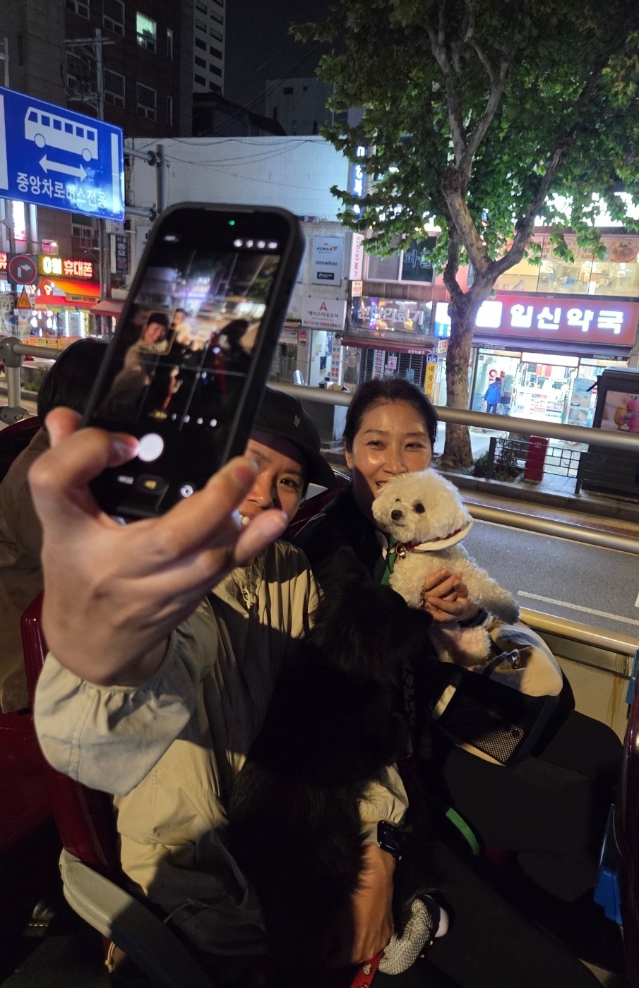 서울시티투어버스에 탑승한 반려가족들이 셀카를 찍고 있다. 박재림 기자