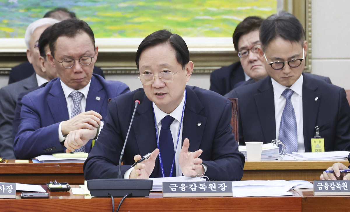 이찬진 금융감독원장이 19일 여의도 국회에서 열린 정무위원회의 금융감독원 등에 대한 국정감사에 출석해 의원질의에 답하고 있다. 뉴시스