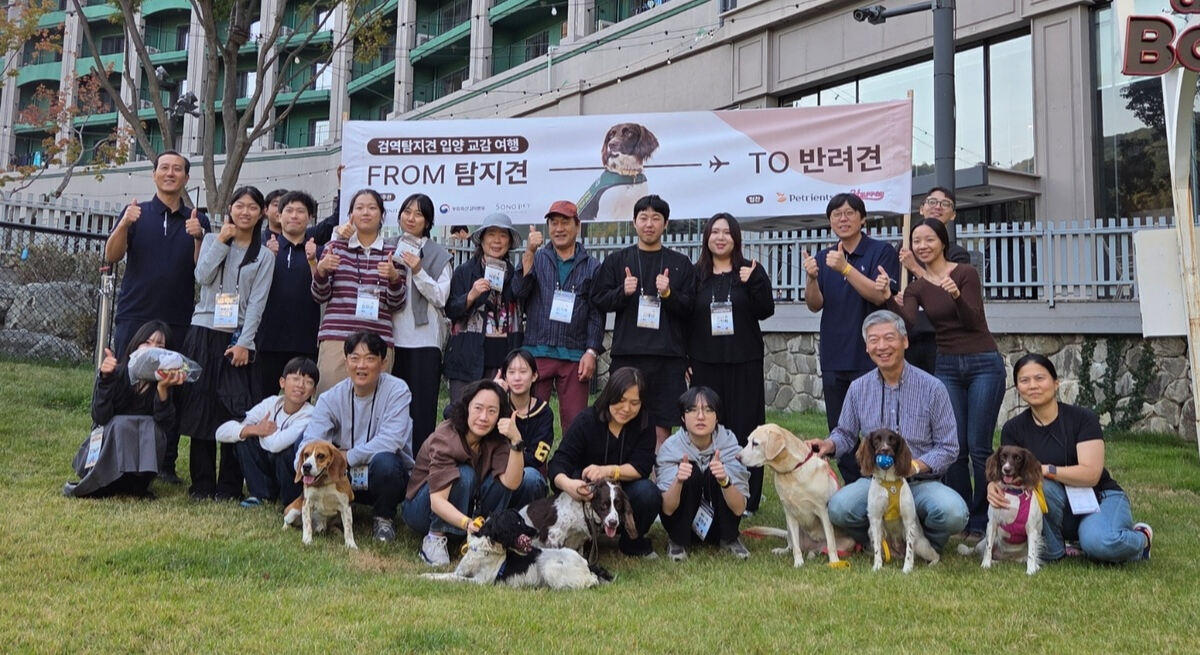 은퇴 검역탐지견과 입양가족, 예비 입양가족의 1박2일 교감여행인 ‘From 탐지견 To 반려견’ 참가자들과 주최 측인 트리니티항공·소노인터내셔널·농림축산검역본부 관계자들, 은퇴 검역탐지견들이 소노펫 플레이그라운드에서 기념사진을 찍고 있다. 박재림 기자