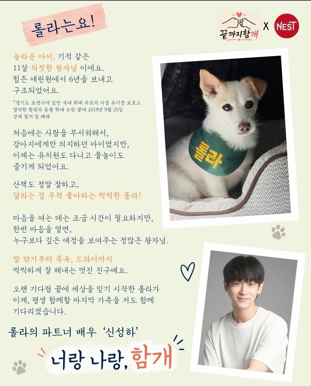 ‘바둑이와 세리’의 주인공 신성하 배우가 입양을 홍보하는 유기견 이미지. 이번 작품의 모든 배우가 각자 파트너 유기견의 입양을 홍보하는 캠페인을 진행 중이다. 동물보호 네스트 인스타그램 갈무리.
