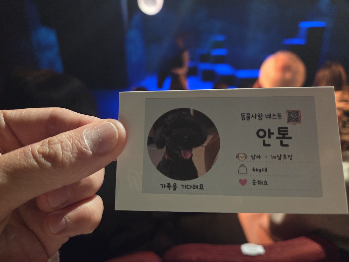 ‘바둑이와 세리’ 티켓 뒷면에 동물보호 네스트에서 보호 중인 유기견의 정보가 들어있다. 박재림 기자